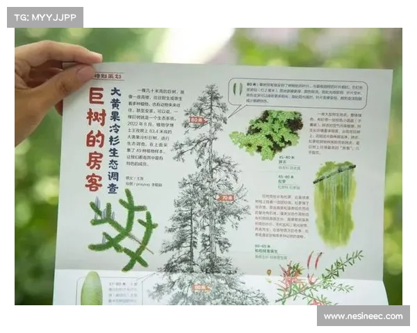 卷帘绿魔揭秘生态奥秘 它是如何改变我们环境的隐藏力量 卷帘绿魔揭秘生态奥秘 它是如何改变我们环境的隐藏力量