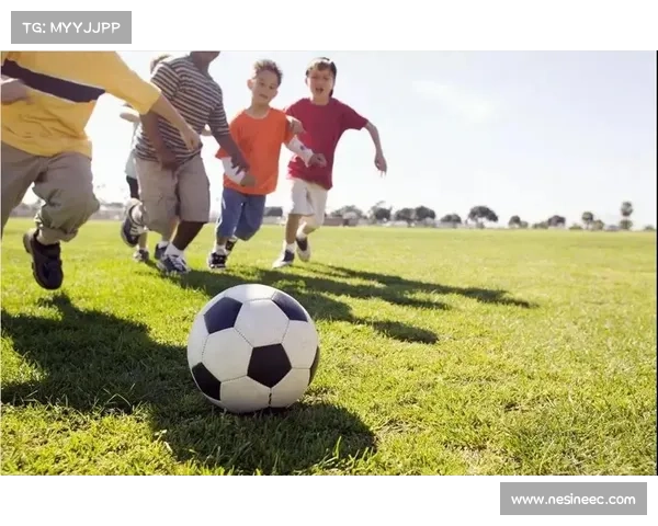 土耳其足球发展对于国家体育文化和国际地位提升的战略意义分析