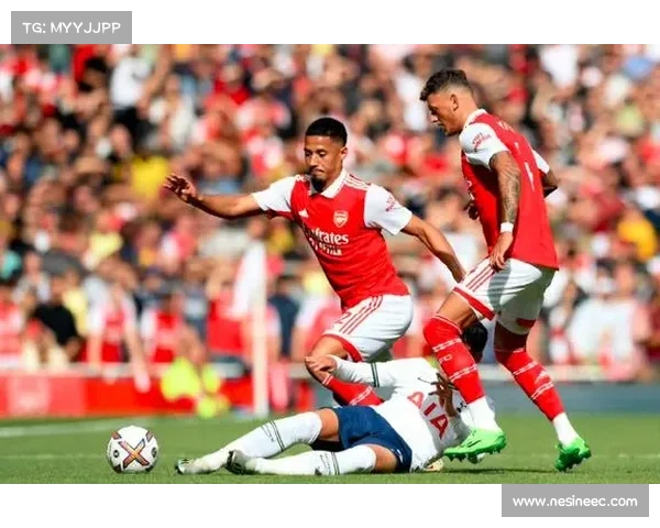 全面解读阿森纳徽标五大设计元素及其深层象征意义系统全景探析