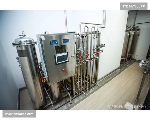 如何精准预测药厂晋级八强的关键因素与战略布局分析